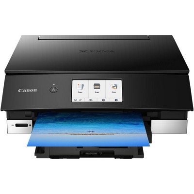 Prodotti e Cartucce Canon PIXMA TS8250