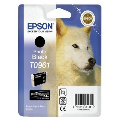 Foto principale Cartuccia Epson C13T09614010 originale NERO FOTOGRAFICO