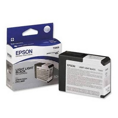 Foto principale Cartuccia Epson C13T580900 originale NERO CHIARO CHIARO