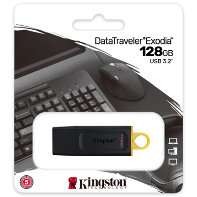 Foto principale Pen Drive 128GB Kingston USB 3.2 DTX/128GB