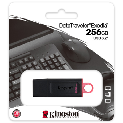 Foto principale Pen Drive 256GB Kingston USB 3.2 DTX/256GB