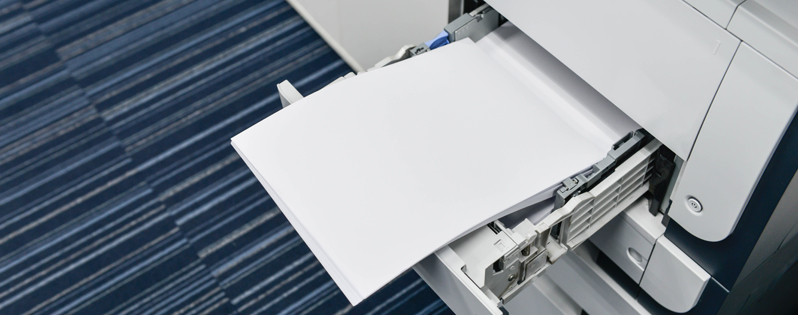 Perché la stampante non alimenta la carta?