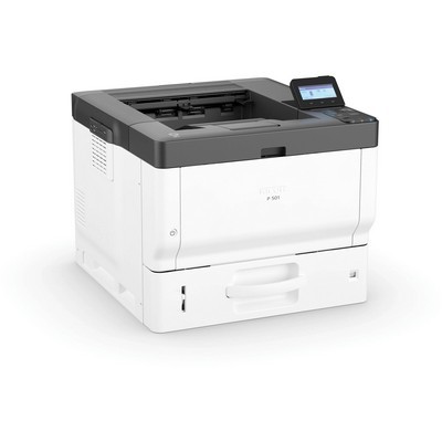 Prodotti e Toner Ricoh P501M