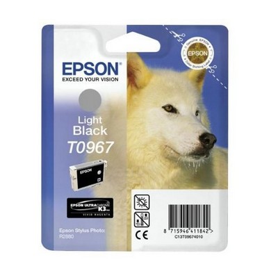 Cartuccia Epson C13T09674010 originale NERO CHIARO
