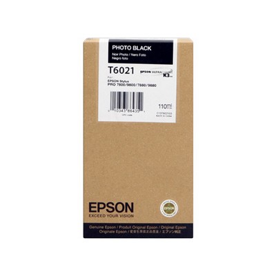 Cartuccia Epson C13T602100 originale NERO FOTO