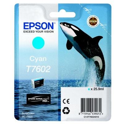 Cartuccia Epson C13T76024010 T7602 Orca originale CIANO